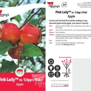 Apple Pink Lady