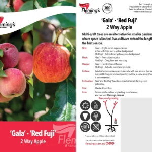 Apple Gala/Red Fuji - Multi Graft