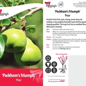 Pear Packham's Triumph